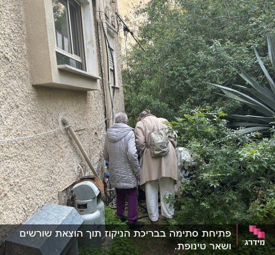שני אנשים עומדים ליד קיר עם צמחייה מסביב